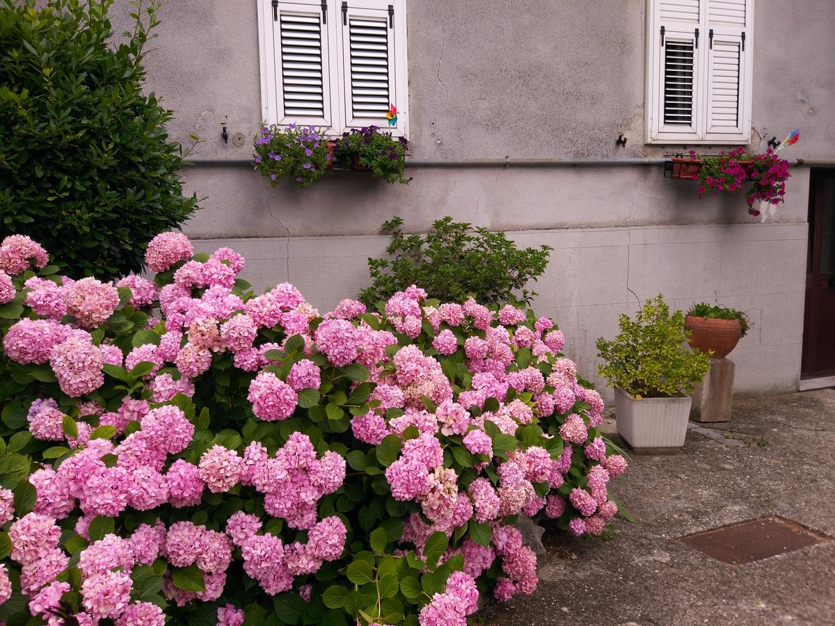 A Casa Di Silvy Villa Trieste Bagian luar foto